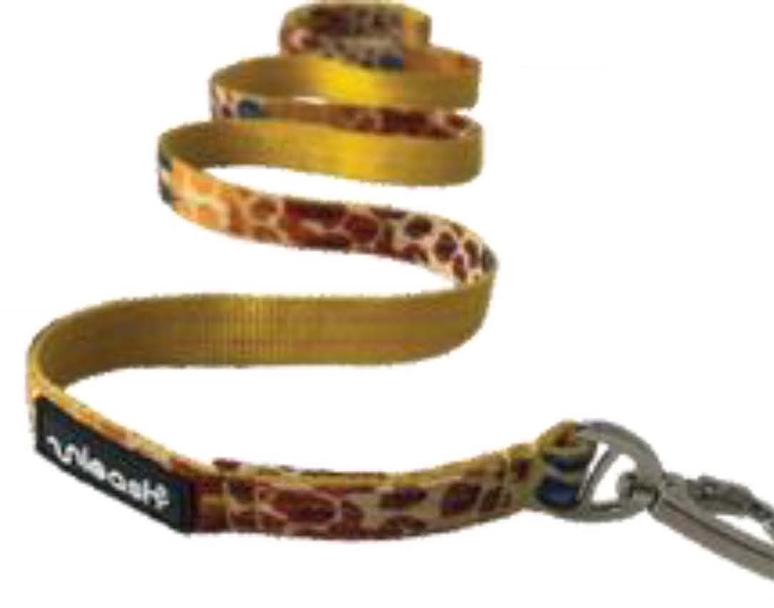 Pet Leash 3